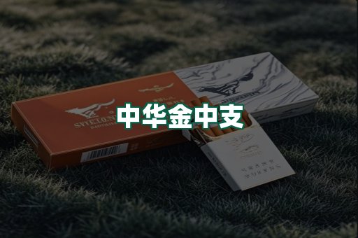 中华金中支